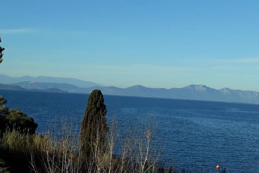 Amazing Sea View-Neos Pyrgos Beach -Evoia Greece Néos Pírgos 外观 照片