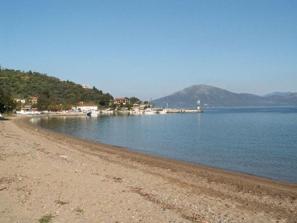 Amazing Sea View-Neos Pyrgos Beach -Evoia Greece Néos Pírgos 外观 照片
